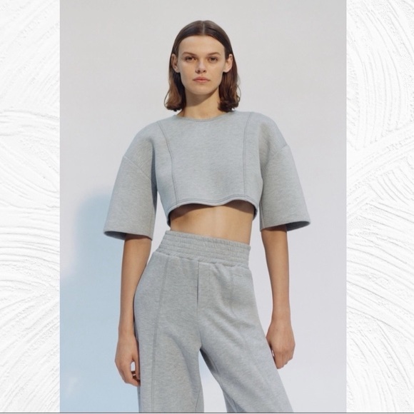 🐚 ZARA GREY SHORT SLEEVE PLUSH LOOSE FIT CROPPED WORKOUT TOP! - Picture 11 of 16